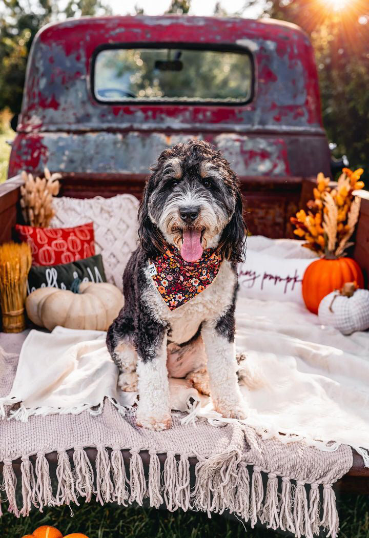 Boneyard Co "Autumn Bouquet" Dog Bandana
