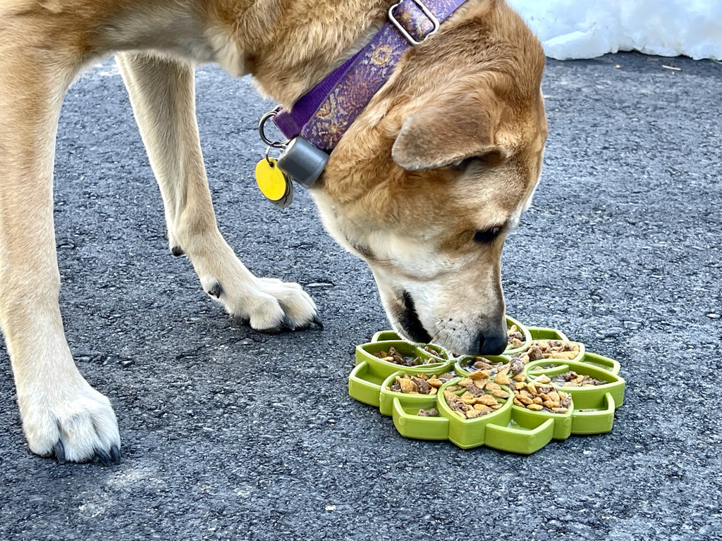 Sodapup Mandala Design Enrichment Tray For Dogs