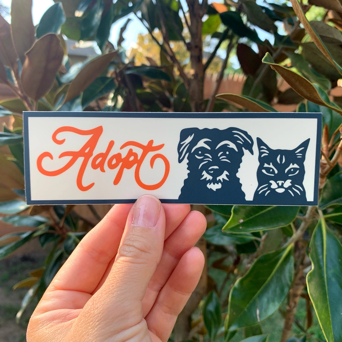 Fresh Fish Stickers