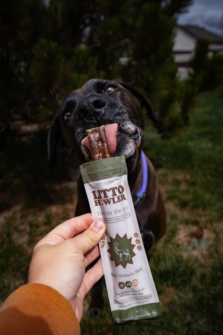 Litto Howler Wild Venison Stick