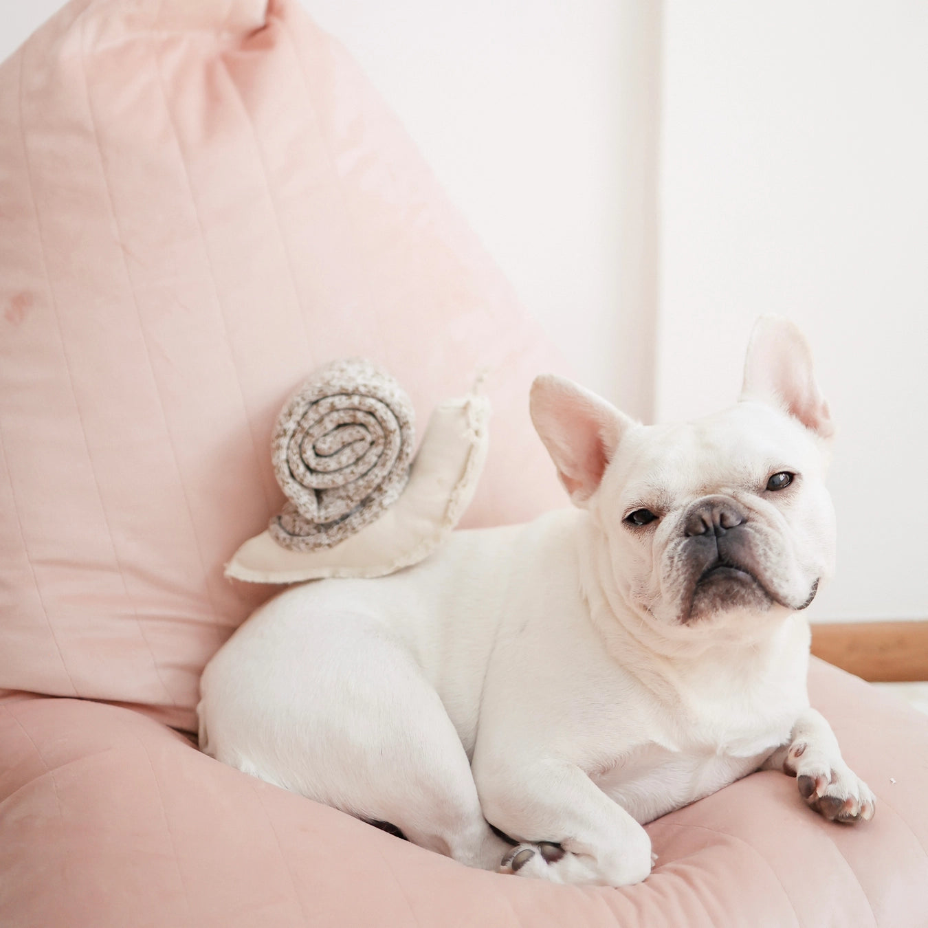Lambwolf Collective Snail Enrichment Toy