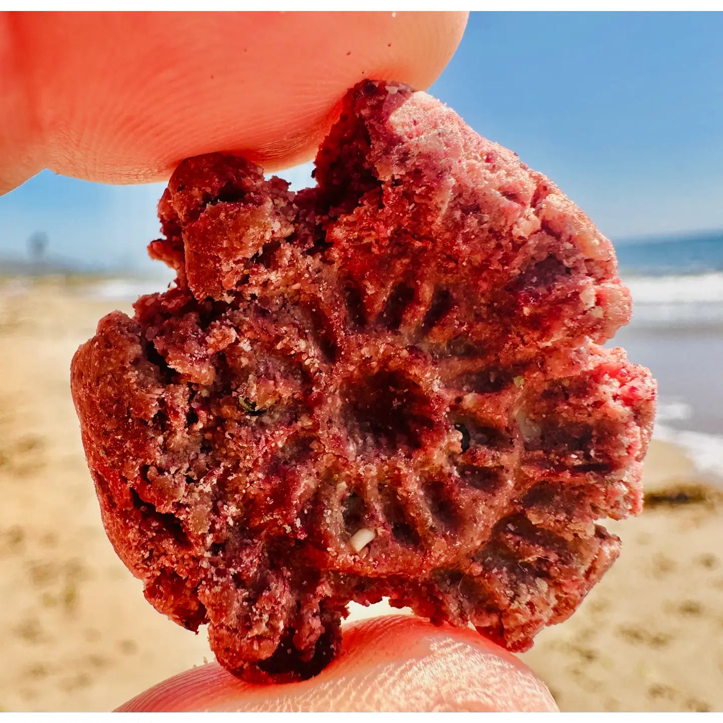 Fur Monster Goodies Organic Beet Superfood Dog Cookie: Baked Treat For Dogs