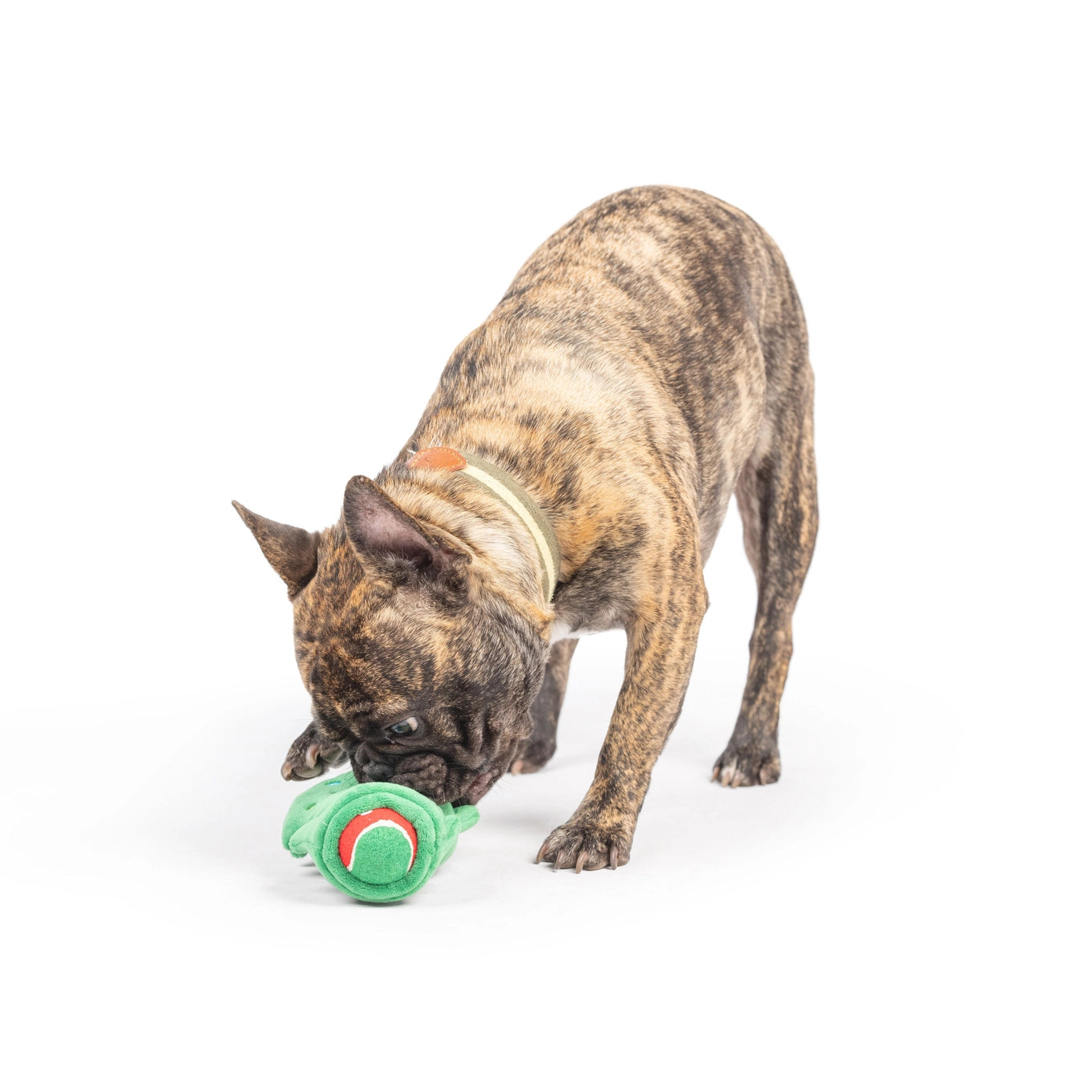 Huxley & Kent Squeak 'n Peek Christmas Tree Dog Toy
