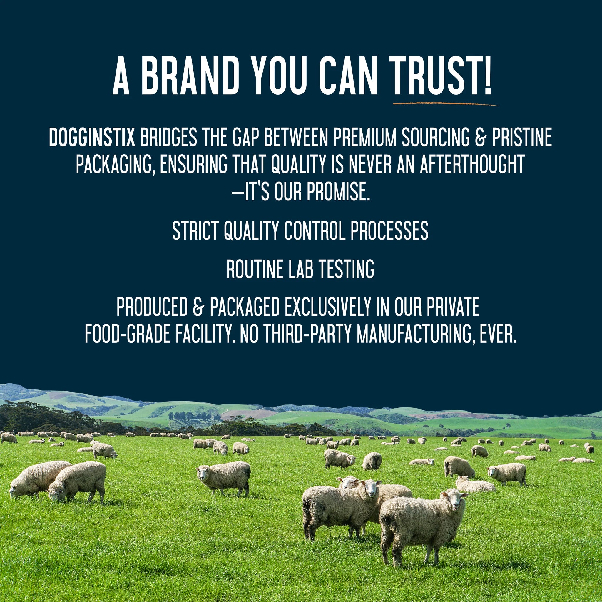 Dogginstix Braided Lamb Collagen Ring