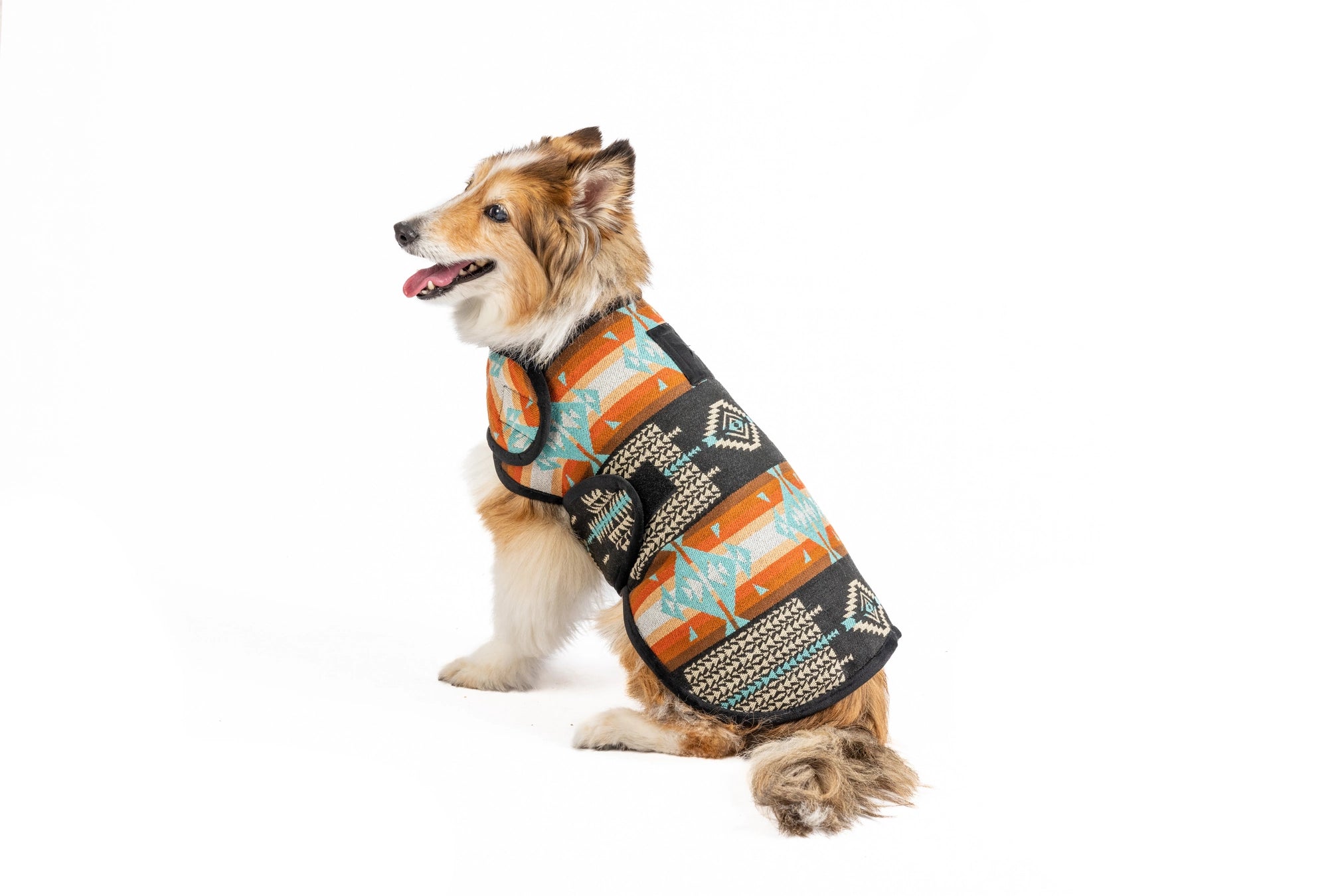 Chilly Dog Blanket Coat