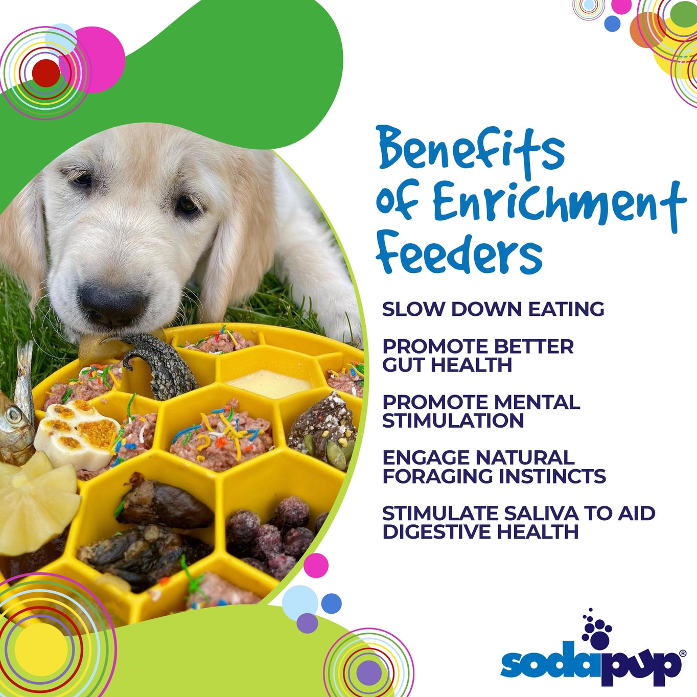 Sodapup Honeycomb Design Slow Feeder Bowl For Dogs