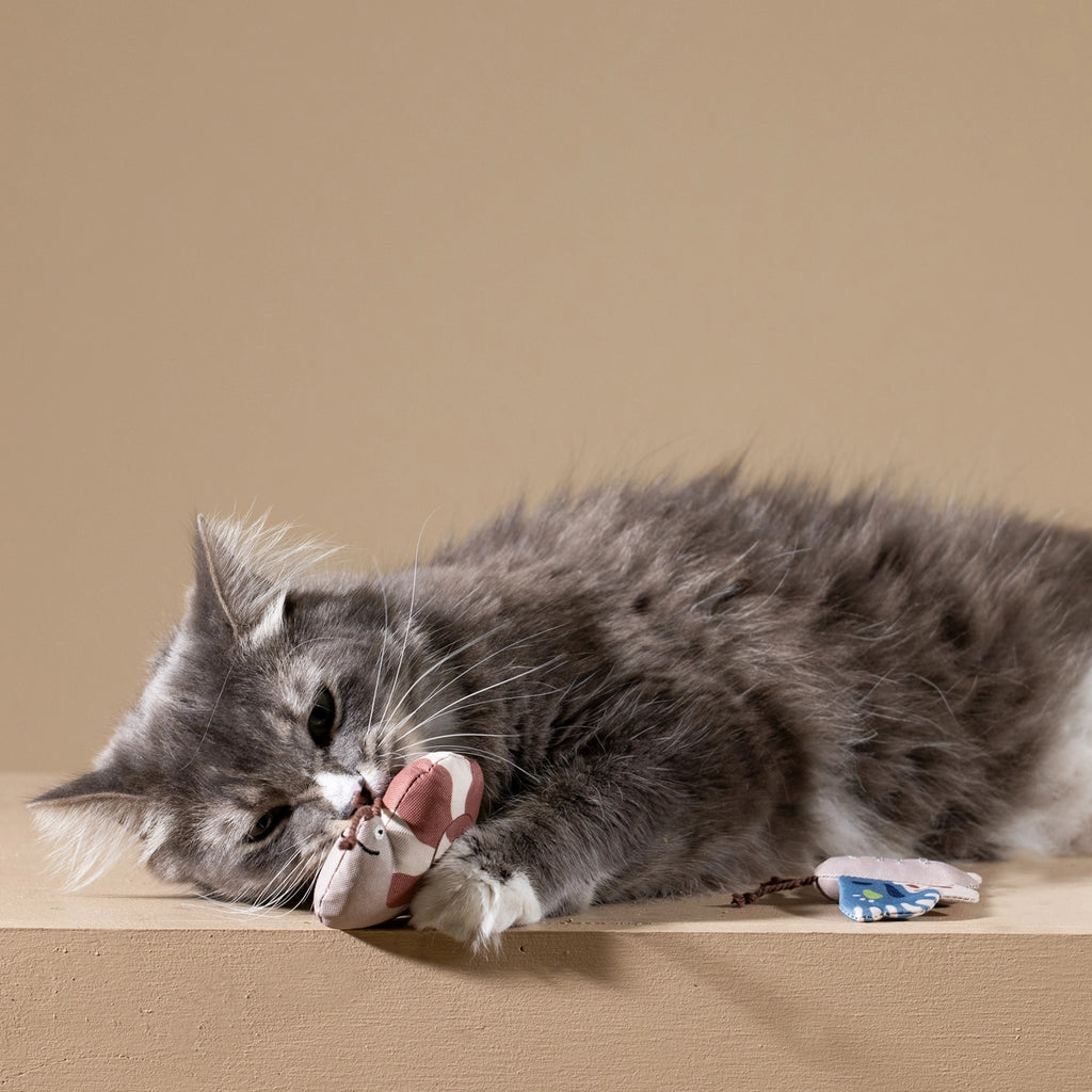 Petshop by Fringe Studio Canvas Mini Cat Toy Set Catch Me If You Can
