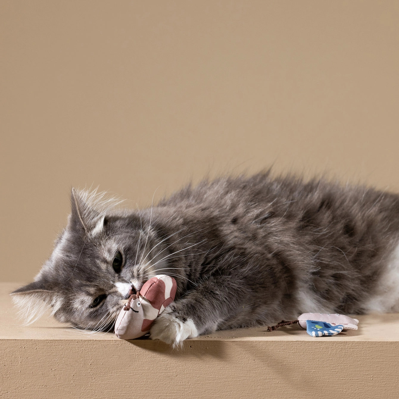 Petshop by Fringe Studio Canvas Mini Cat Toy Set Catch Me If You Can