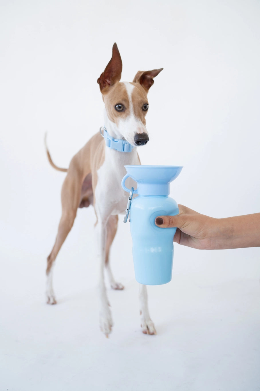 Springland Pets Dog Travel Water Bottle Bowl 22oz