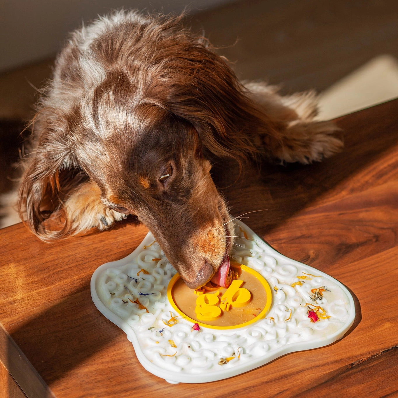 Ollie B. Good Sunny-Side-Up Egg Lick Mat