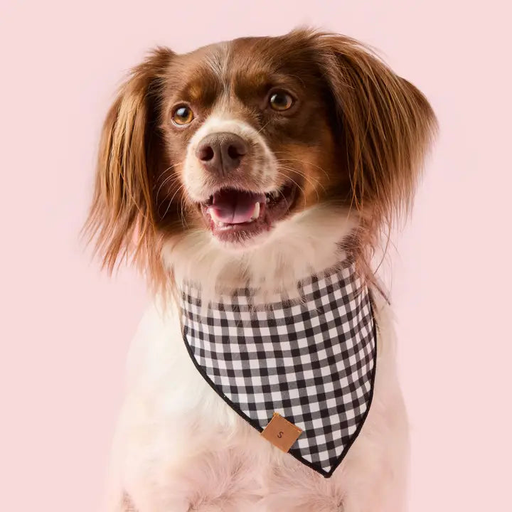 The Foggy Dog Spooky Season Reversible Dog Bandana