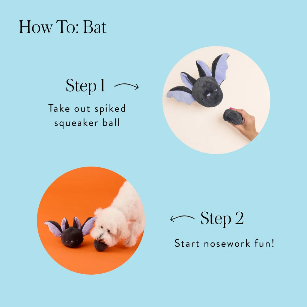 The Foggy Fog Bat 2-in-1 Bounce Dog Toy