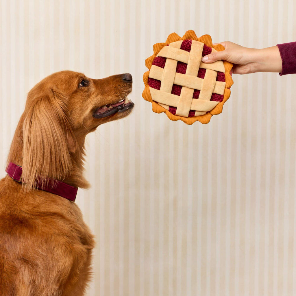 The Foggy Dog | Berry Pie Interactive Snuffle Dog Toy