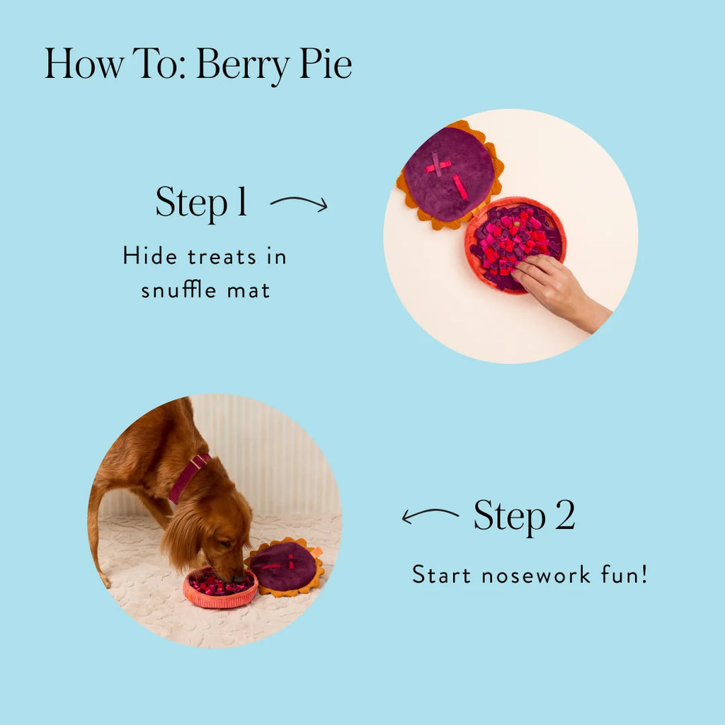 The Foggy Dog | Berry Pie Interactive Snuffle Dog Toy