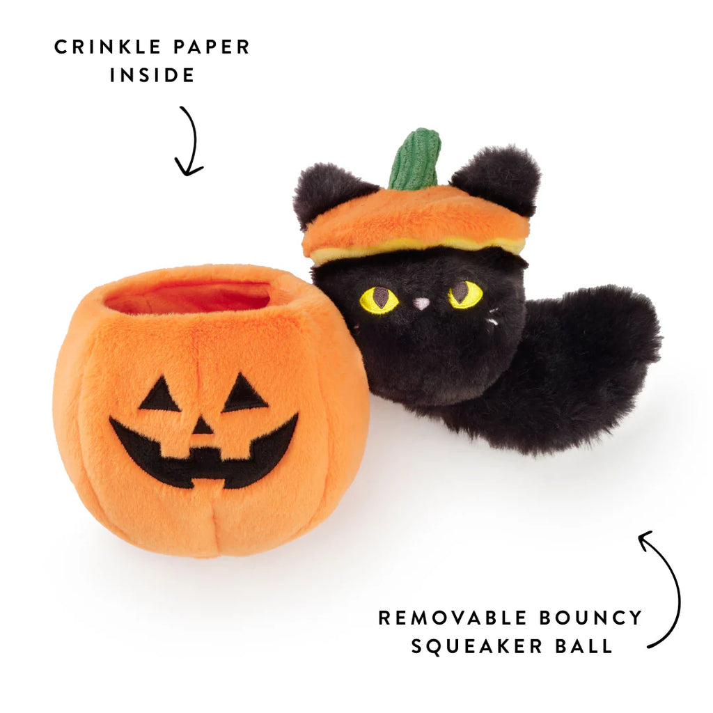 The Foggy Dog Cat-O'-Lantern 2-in-1 Bounce Dog toy