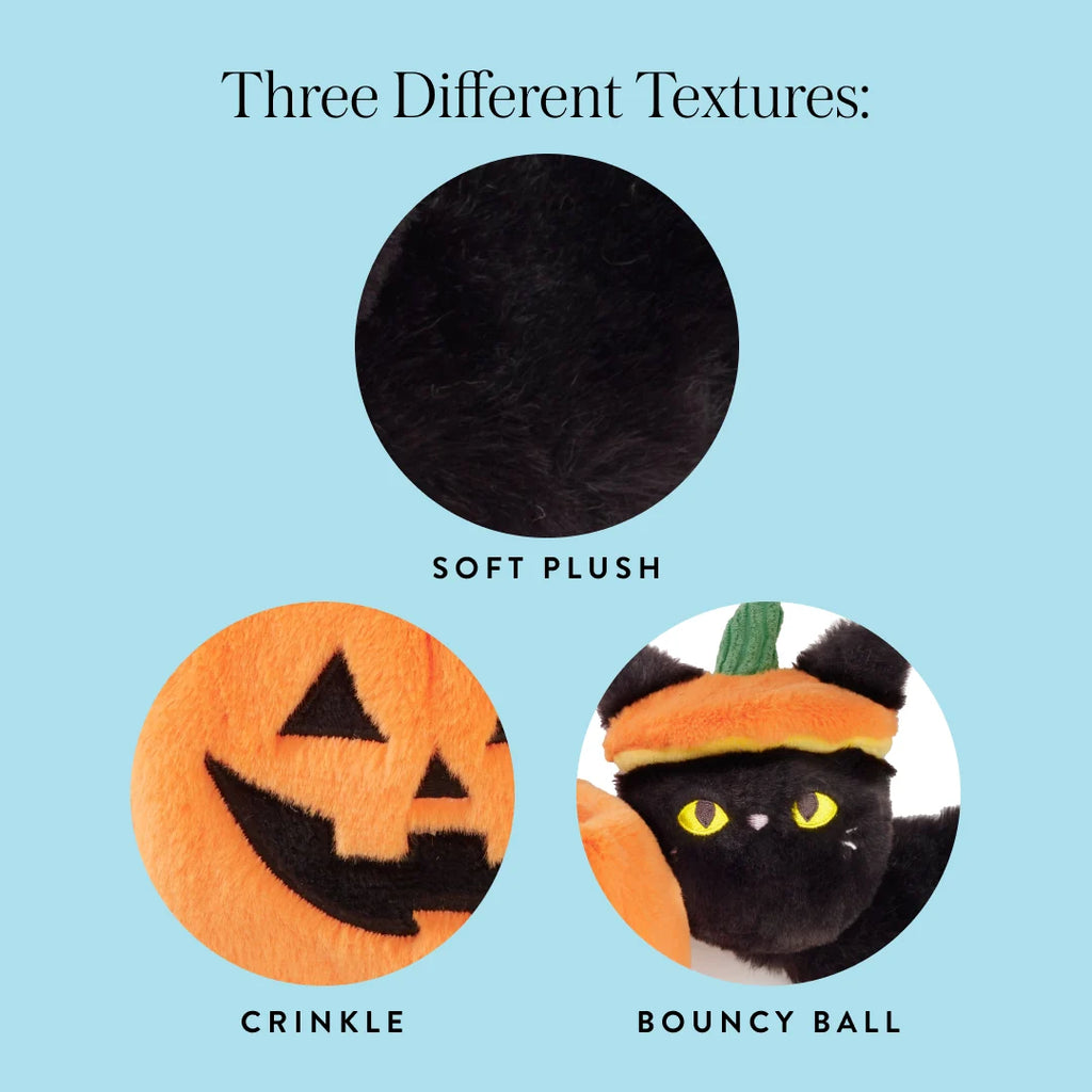The Foggy Dog Cat-O'-Lantern 2-in-1 Bounce Dog toy