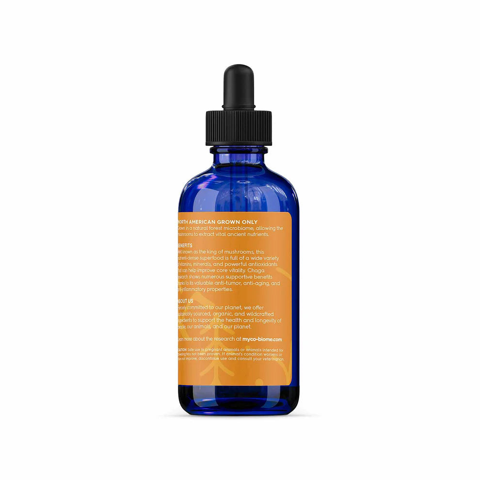 Adored Beast Apothecary Chaga Mushrooms | Liquid Extract