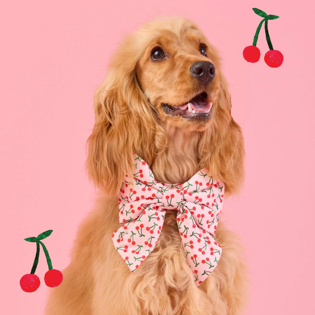 The Foggy Dog Cherry Jubilee Lady Dog Bow
