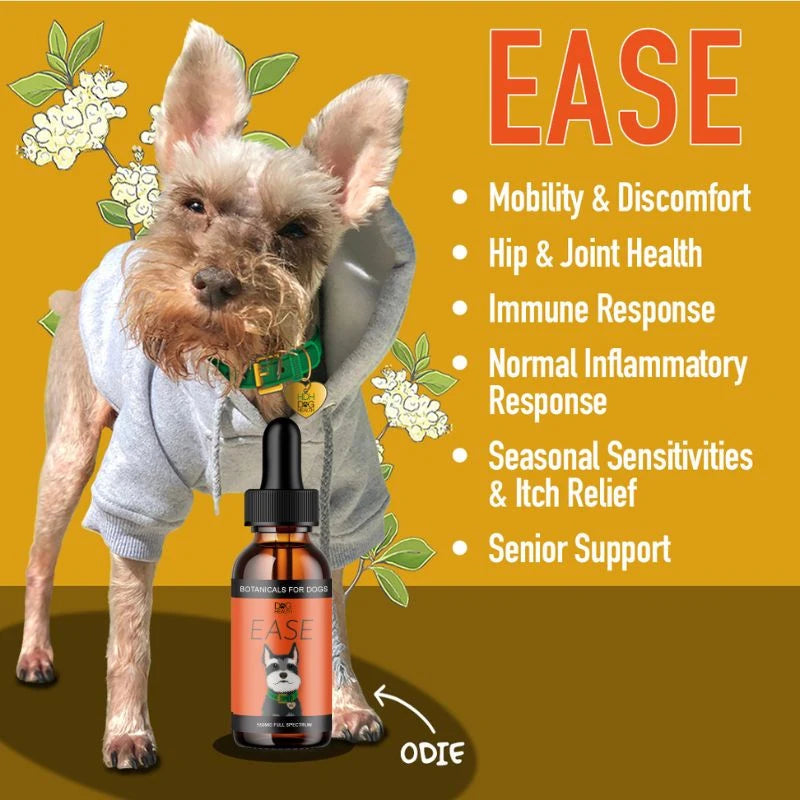 Mycodog EASE: Mobility + Itchy Dogs