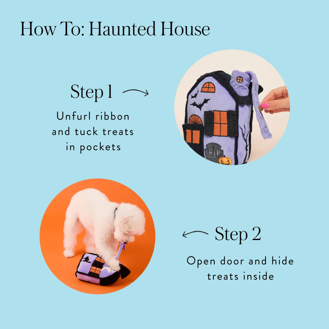 The Foggy Dog Haunted House Interactive Dog Toy