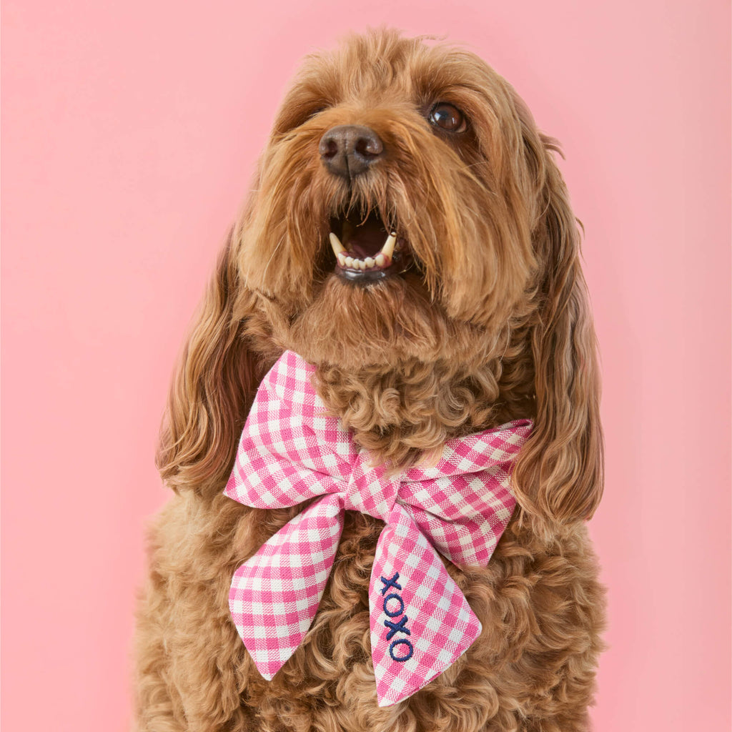 The Foggy Dog Hot Pink Gingham Lady Dog Bow