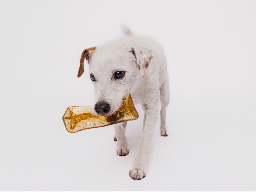 Mighty Marrows Collagen Dental Chew - Pork Parsley