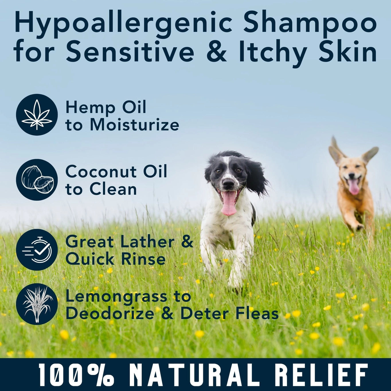 4-Legger Moisturize Organic Hemp Dog Shampoo with Lemongrass