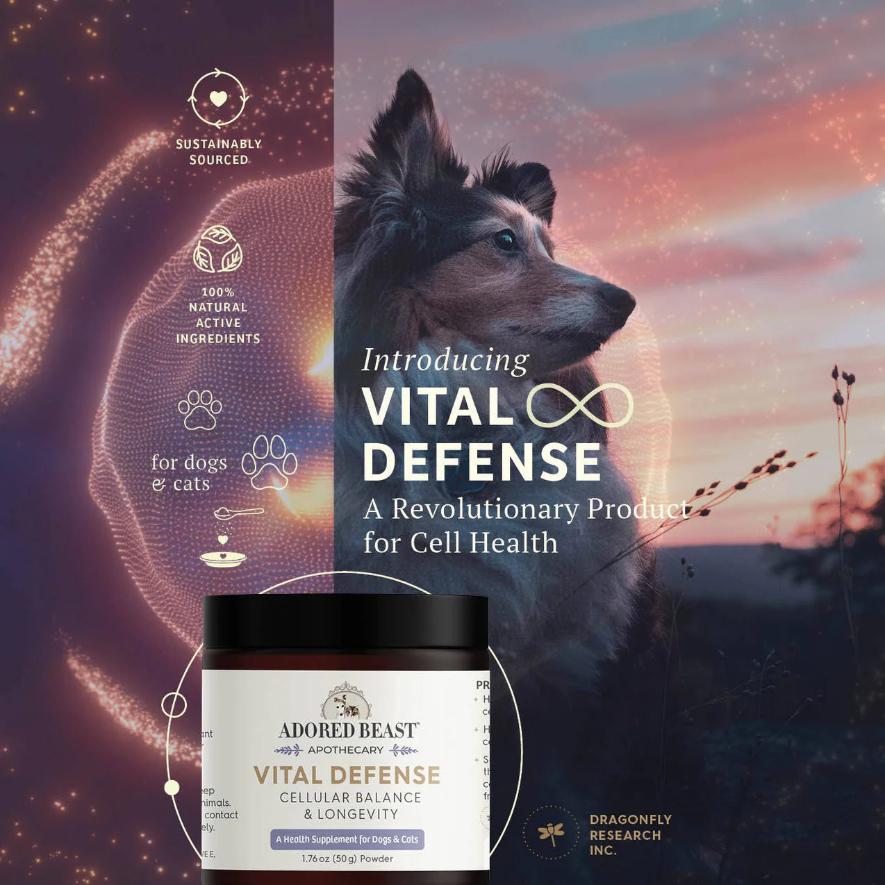 Vital Defense product packaging for dogs and cats with a dog in the background