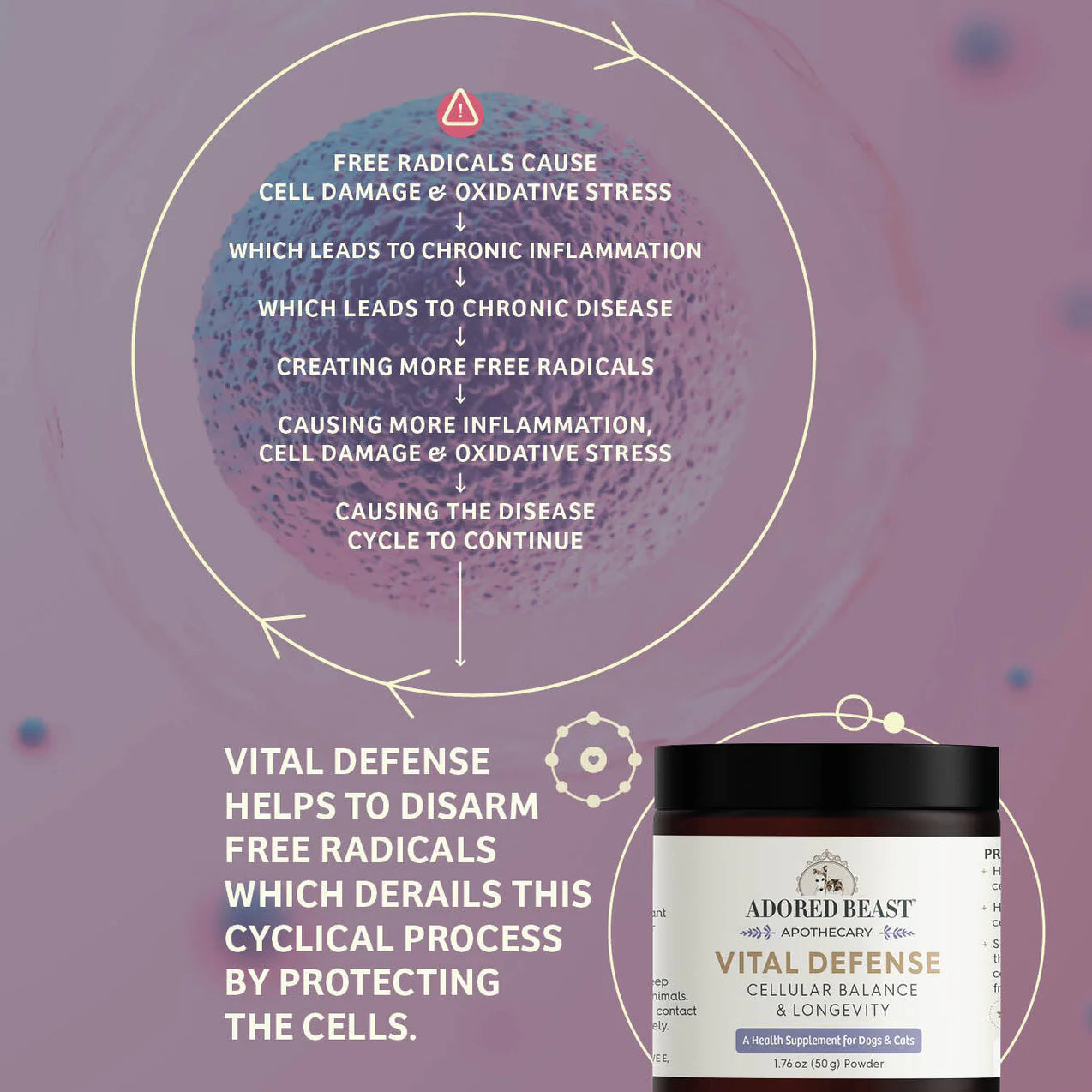 Adored Beast Apothecary - Vital Defense | Cellular Support