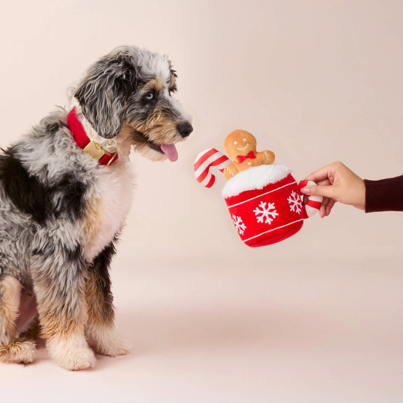 The Foggy Dog Holiday Hot Cocoa Snuffle Dog Toy