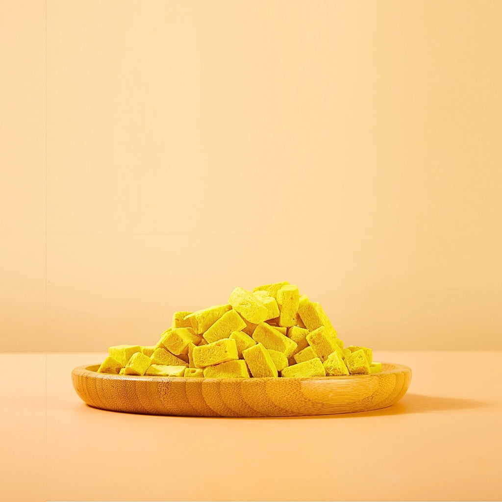 Arya Sit! Freeze Dried Pumpkin Yogurt