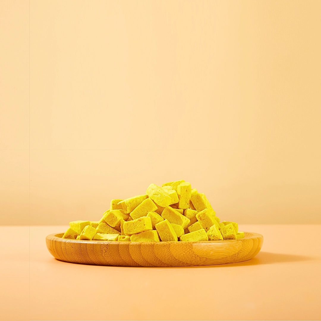 Arya Sit! Freeze Dried Pumpkin Yogurt