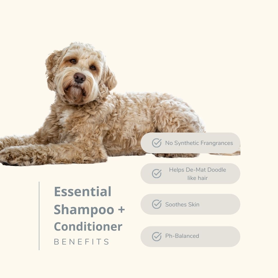 The Salty Dog Co Moisturizing Dog Conditioner With Aloe + Shea Butter