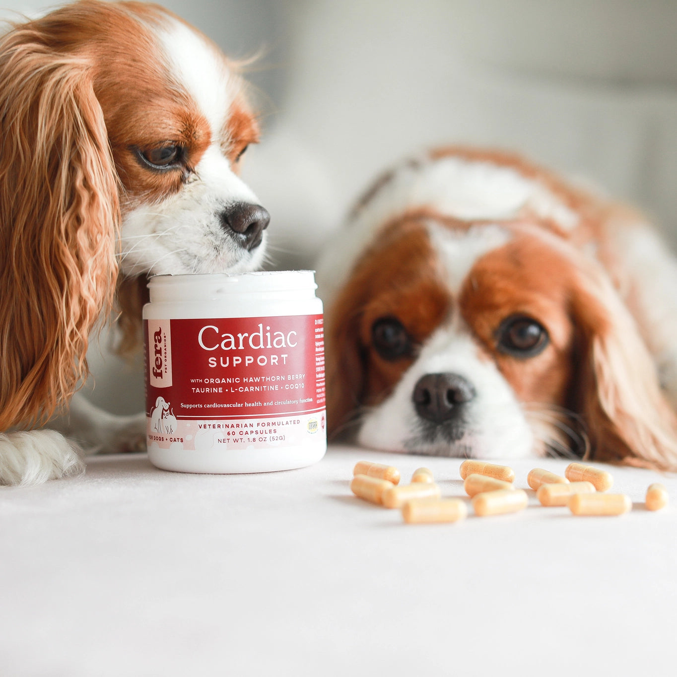 Fera Pets Cardiac Support Supplement For Dogs and Cats