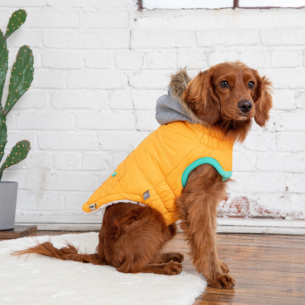 GF Pet Winter Sailor Parka - Yellow