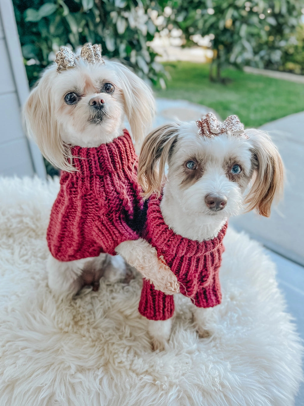Sassy Woof Dog Cable Knit Sweater