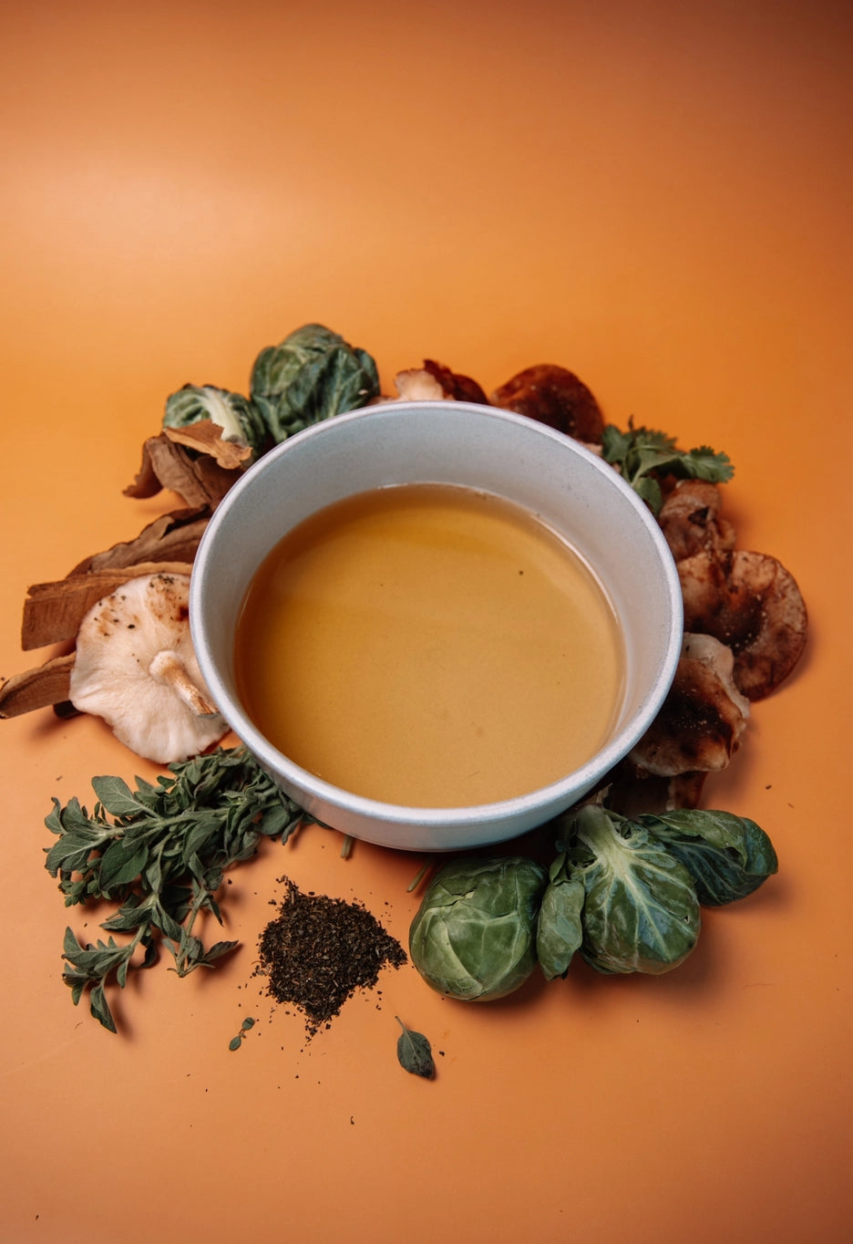 Crude Carnivore Bison Bone Broth For Dogs and Cats
