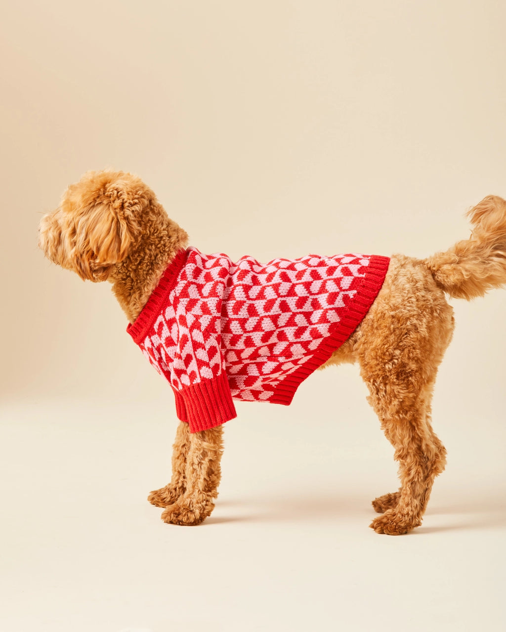 The Foggy Dog Heart Stripe Valentine's Day Dog Sweater