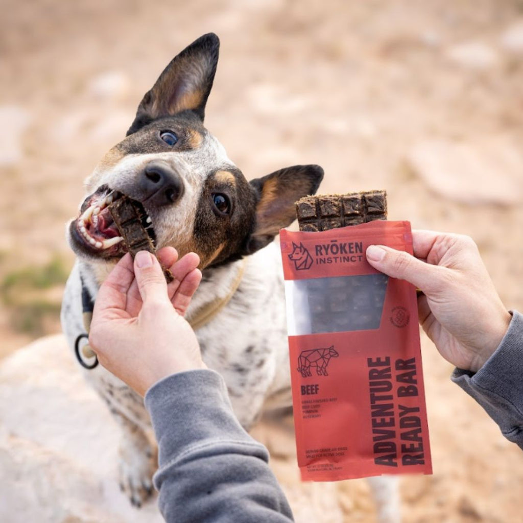 Ryōken Instinct Beef Treat & Snack Bar For Active Dogs - Energy & Recovery