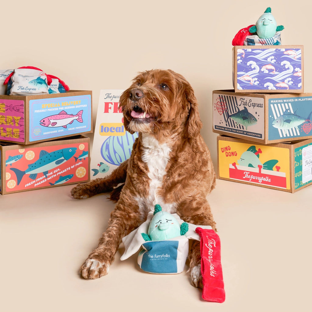 The Furryfolks Fish Express Nosework Toy
