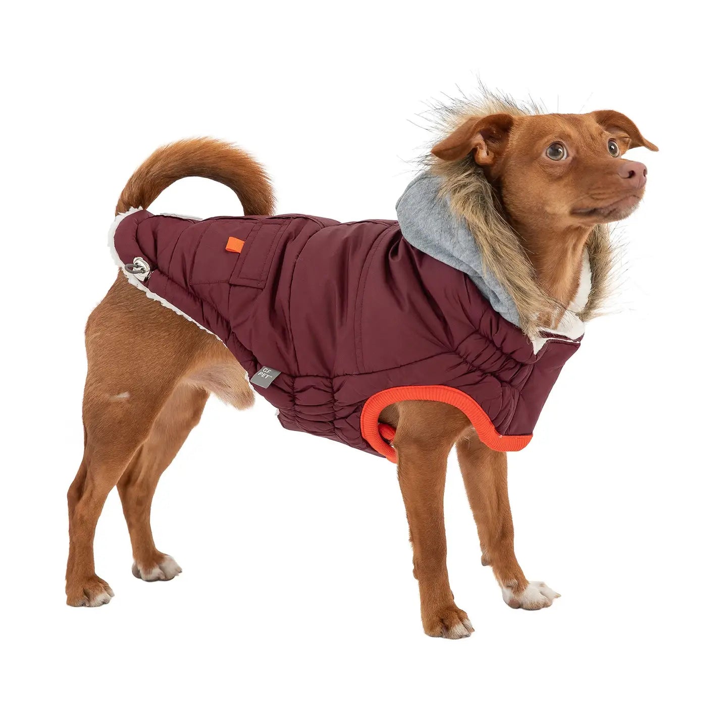 GF Pet Winter Sailor Parka - Burgundy