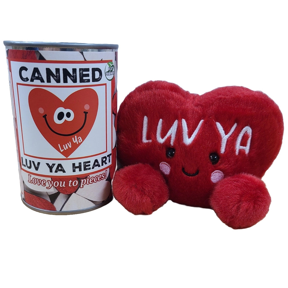 Canned Be Mine Candy Heart