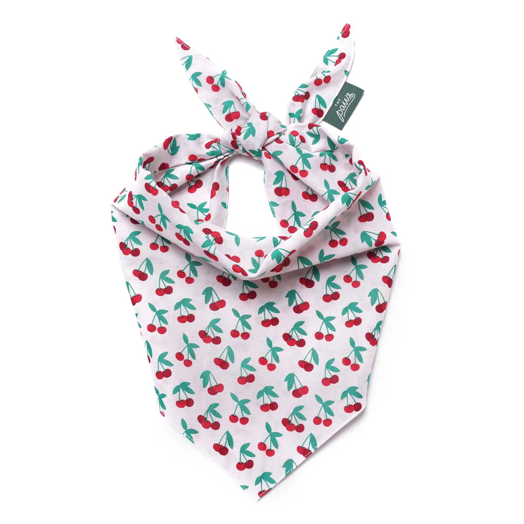 Four Paws Annex Cherry Pop Dog Bandana