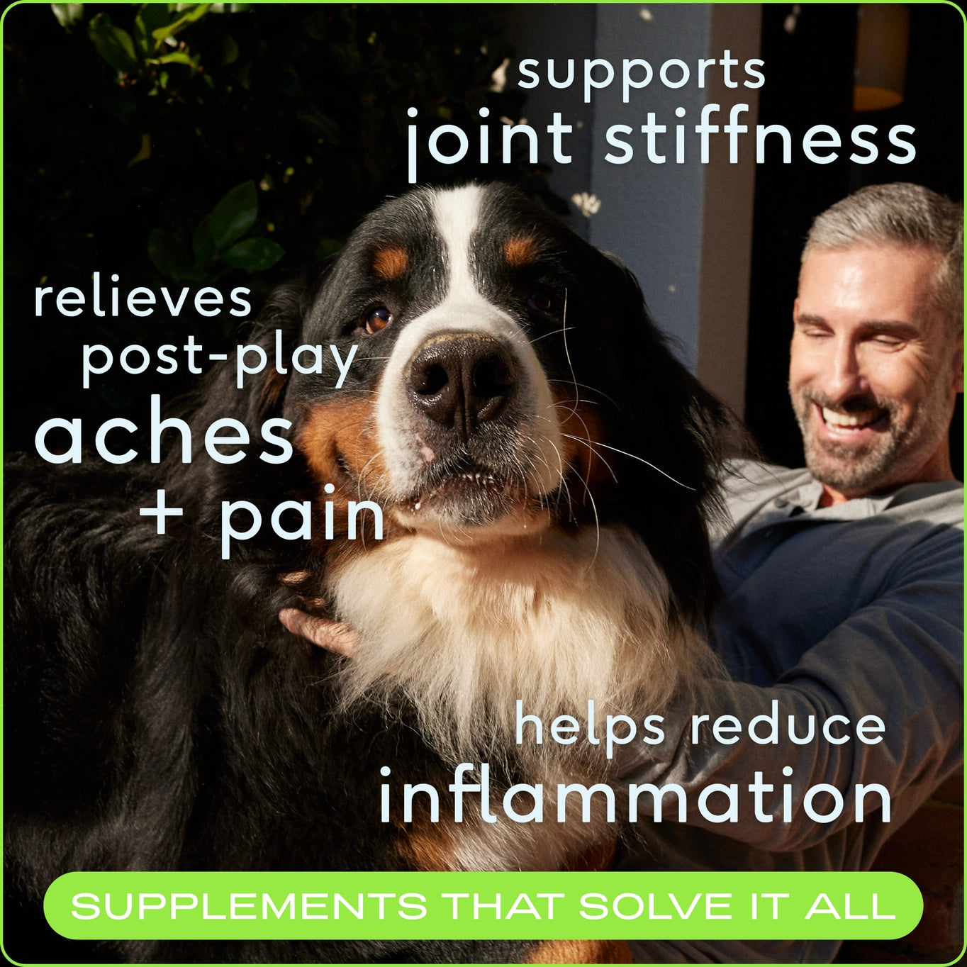 Native Pet Relief Chews, Hip & Joint Supplement For Dogs - 30ct