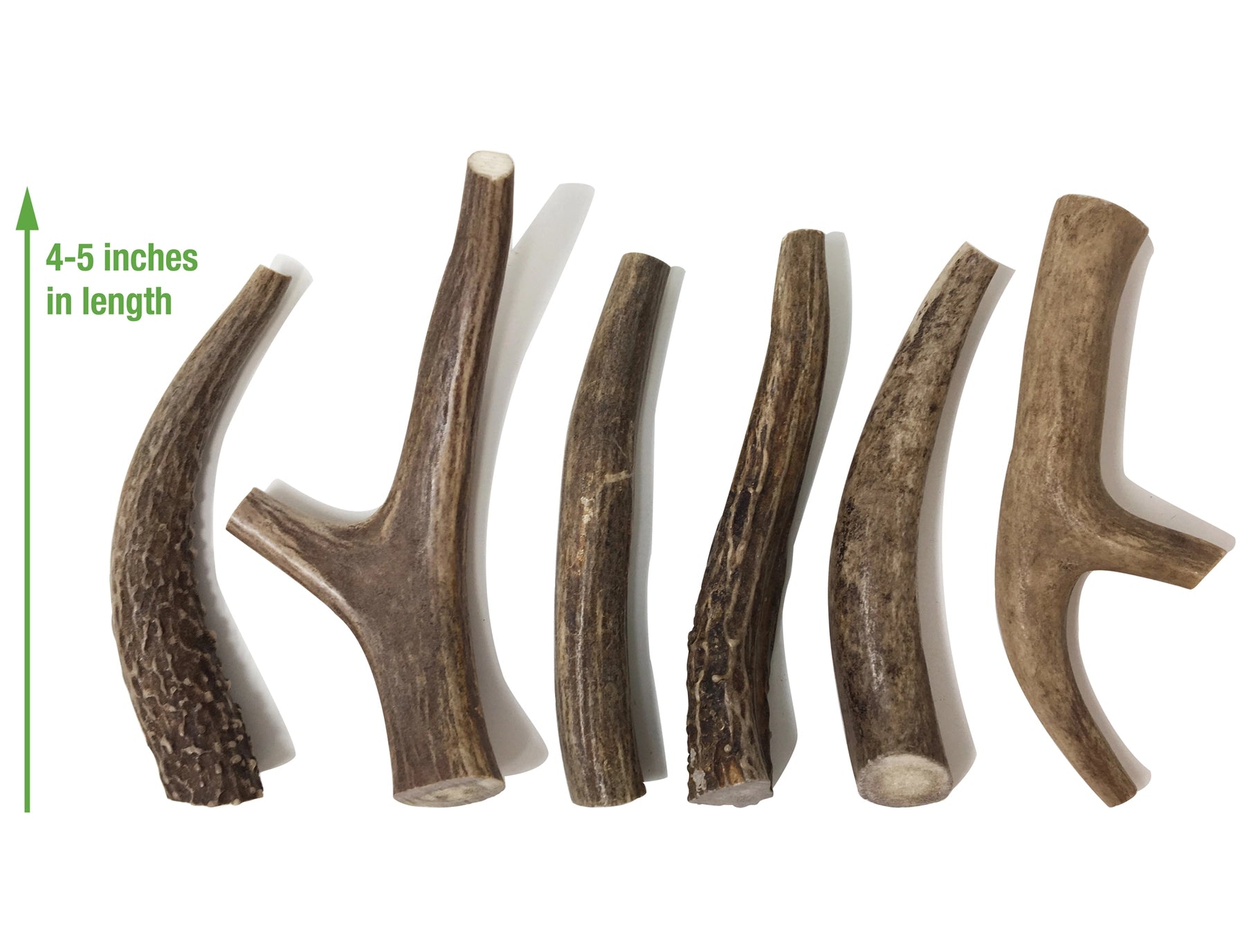 Whole Elk Antlers
