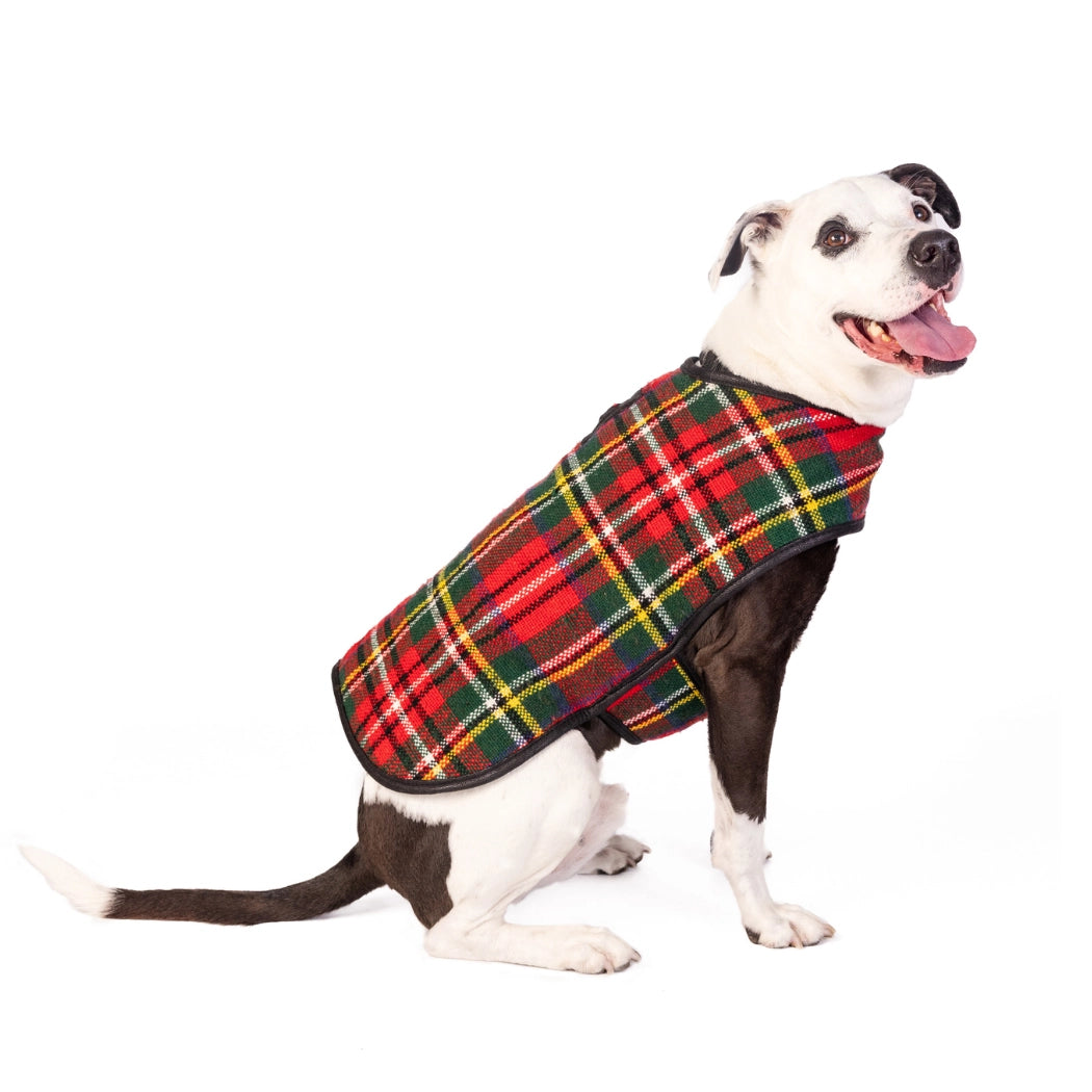 Chilly Dog Scotty Plaid Dog Blanket Coat