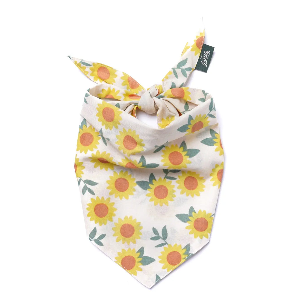 Four Paws Annex Cullipher Fall Dog Bandana
