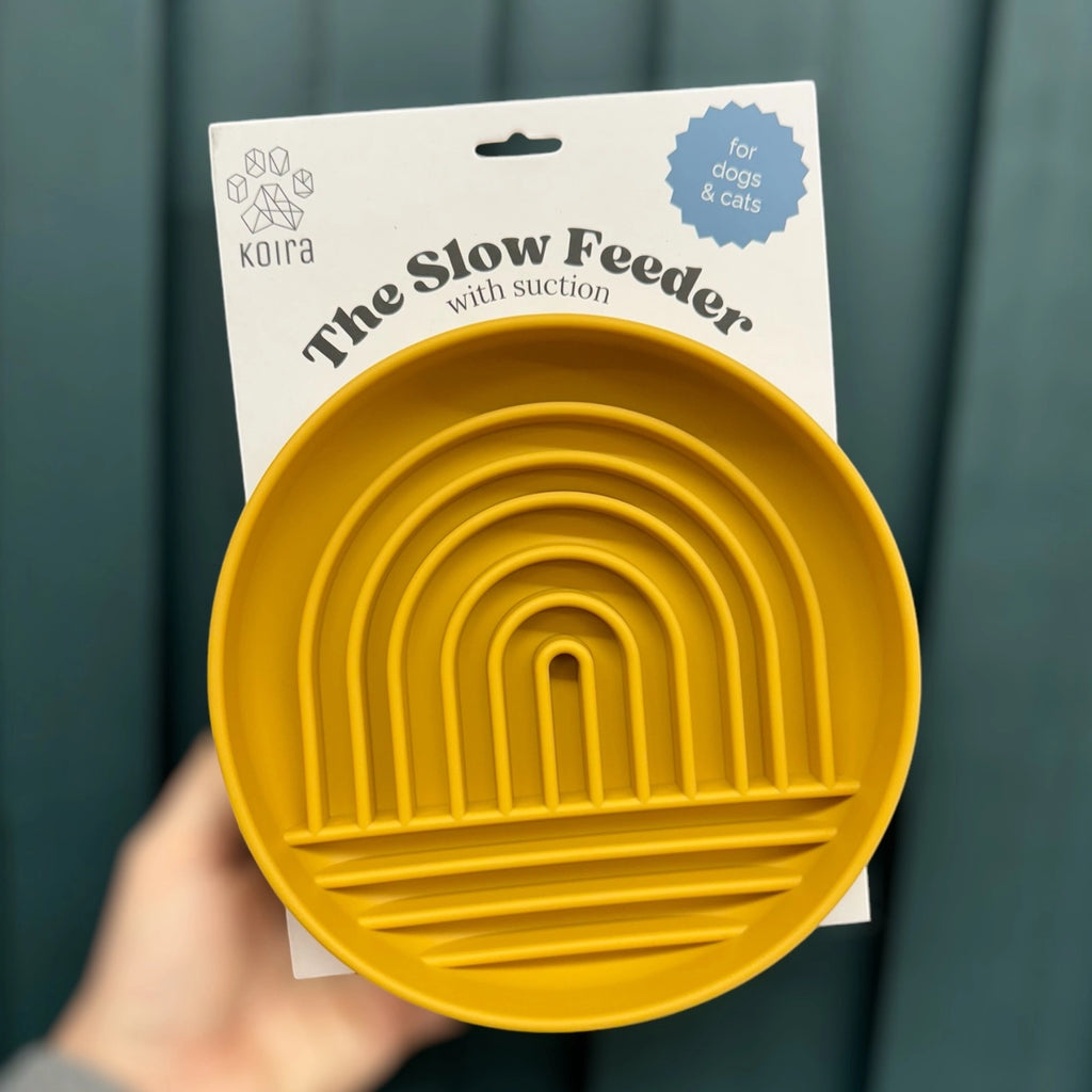 Rainbow Silicone Slow Feeder Lick Mat with Suction