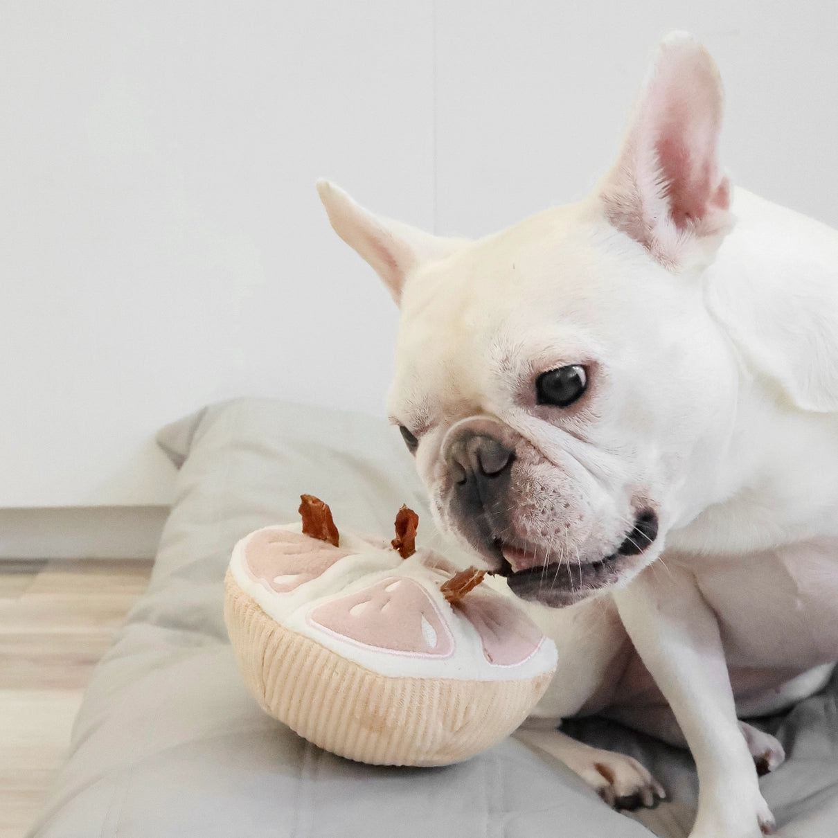 Lambwolf Collective Grapefruit Enrichment Snuffle Toy