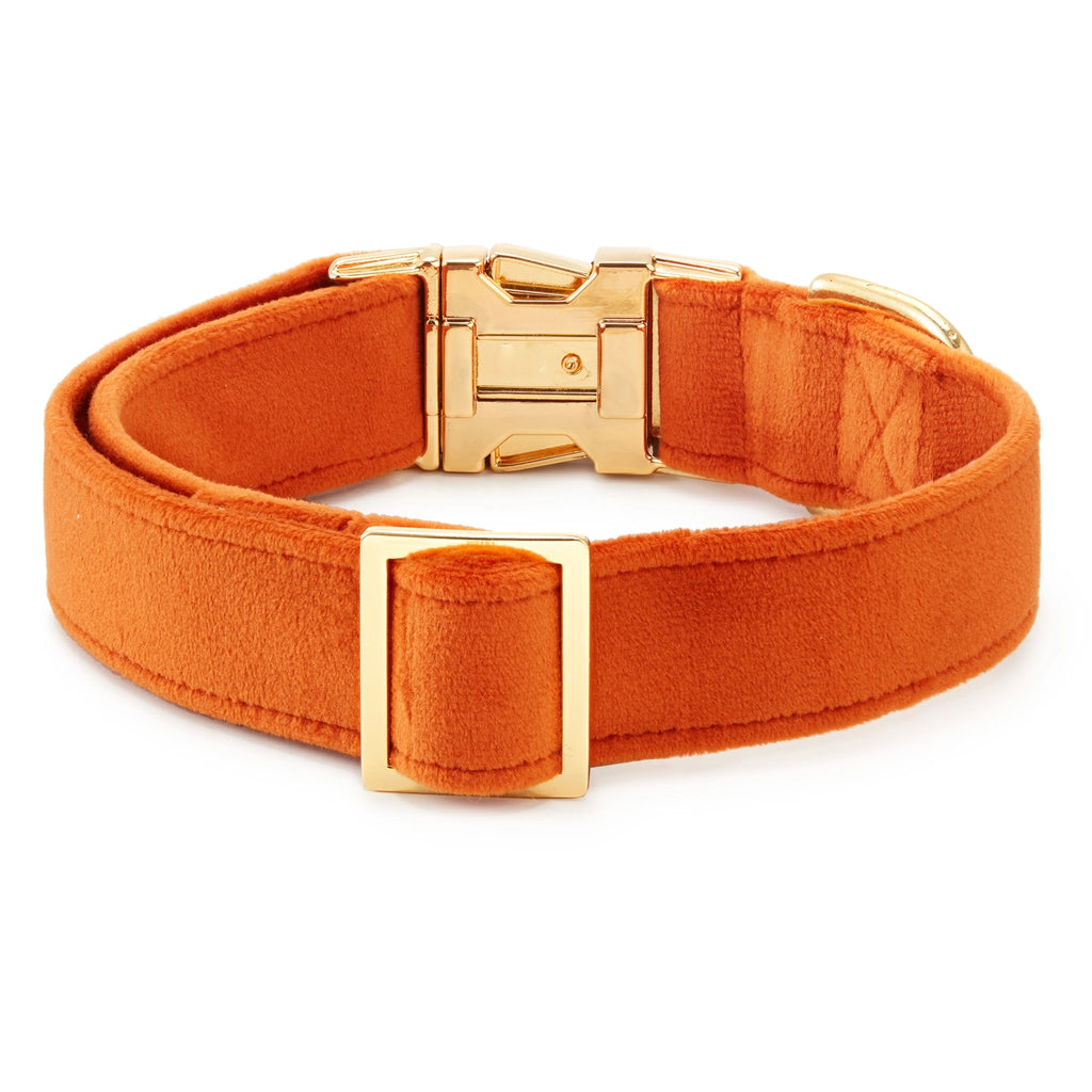 The Foggy Dog Velvet Collar